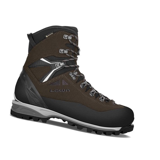 Botas Montaña Lowa Alpine Expert II GTX Hombre Marrom Oscuro Negros | MORWX2750